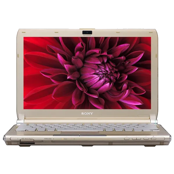 Замена микрофона Sony VAIO VGN-TT4MRG